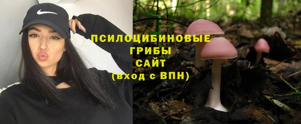 COCAINE Бородино