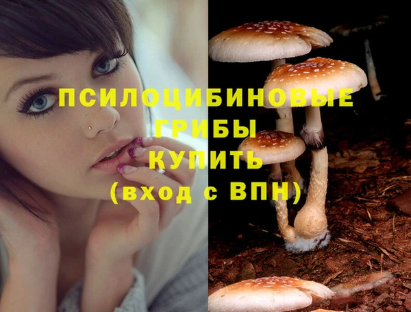 гашиш Бронницы